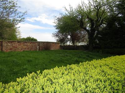 Picture 17
